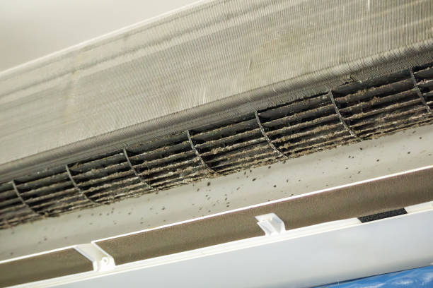 Best Air Vent Cleaning Services  in Avilla, AR