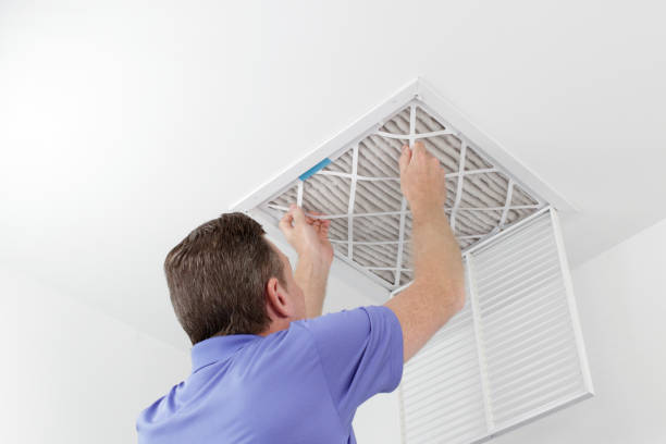 Best Home Air Vent Cleaning  in Avilla, AR